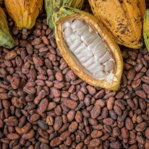 Cocoa